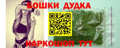 МДПВ Новозыбков