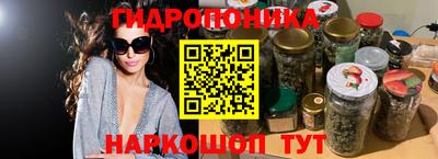 МДПВ Новозыбков