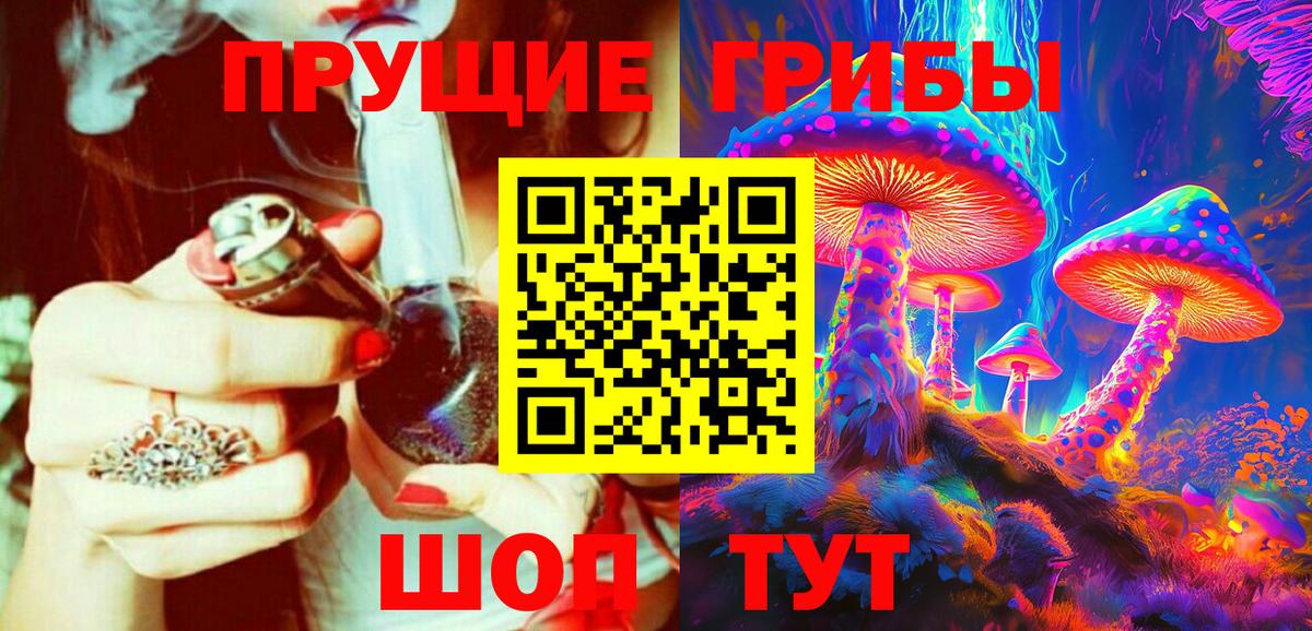 Псилоцибиновые грибы Psilocybine cubensis Рузаевка